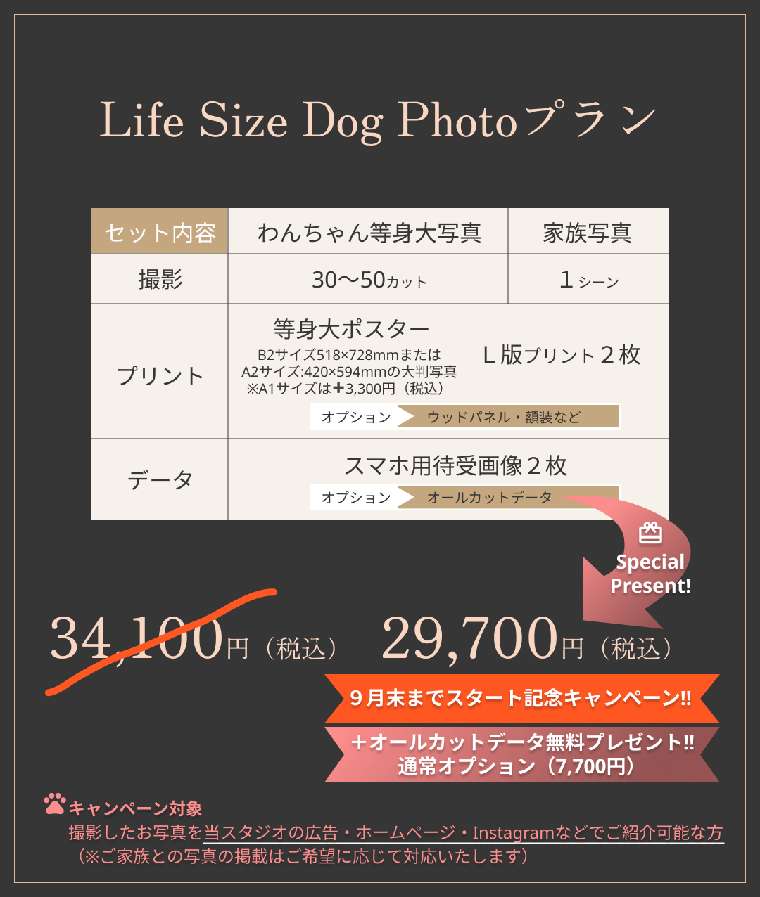 愛犬等身大フォト